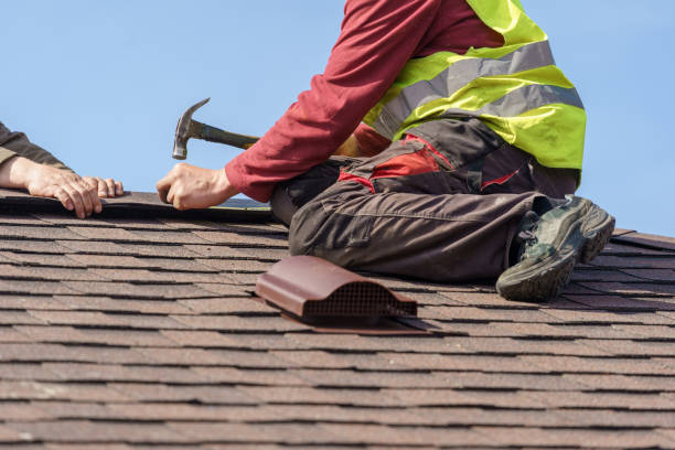 Best Roof Repair Services  in Wheaton, IL