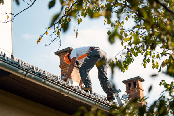 Best Roof Leak Repair  in Wheaton, IL