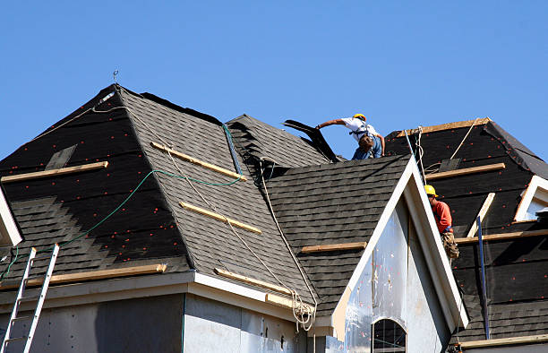 Roof Gutter Cleaning in Wheaton, IL