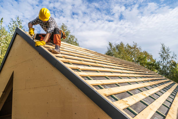 Best Roof Gutter Cleaning  in Wheaton, IL