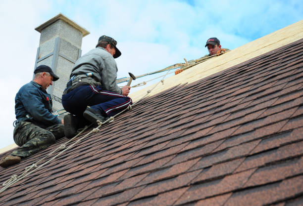 Professional Roofing Contractor in Wheaton, IL